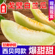 甘肅戈壁白蘭瓜沙漠民勤網(wǎng)紋蜜瓜銀蒂新鮮水果當季整箱脆甜瓜包郵 精品白蘭瓜5-6斤（1個裝）