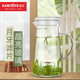 金灶（KAMJOVE）月牙濾片玻璃茶藝壺 大容量耐熱晶透冷水壺功夫茶沖泡茶壺TP-607 【月牙濾片 出水流暢】 700ml