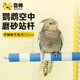 喜帥鸚鵡磨爪棒磨砂鳥站桿站棍鳥訓(xùn)練站架磨甲器磨嘴鳥用品20cm