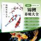 錦鯉養(yǎng)殖大全 池塘養(yǎng)魚觀賞魚書籍錦鯉養(yǎng)殖技術大全書籍 鯉魚喂養(yǎng)技巧教程 錦鯉飼養(yǎng)殖方法技巧 觀賞魚常見疾病防治