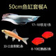 樂(lè)淘逸寵銀龍魚(yú)活體大中型熱帶觀賞魚(yú)魚(yú)缸寵物淡水風(fēng)水魚(yú)發(fā)財(cái)魚(yú)金龍魚(yú) 50-60cm魚(yú)缸套餐A發(fā)順豐