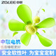 中聯(lián)電風扇迷你微風扇小風扇小電扇小吊扇家用辦公室工業(yè)學生宿舍床頭FG10-42 5葉28cm軟葉綠色【一檔標配】