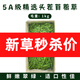 牛寵苜蓿草紫花干草兔子糧草幼兔食用龍貓豚鼠吃的糧食苜宿草兔糧飼料 1000g