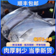 鮮拔頭籌新鮮海捕銀鯧魚(yú)4斤 青島海捕小鯧魚(yú)平魚(yú)特大白倉魚(yú)海鮮水產(chǎn)魚(yú)類(lèi) 4斤/包 3-4條/斤
