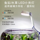 合思美魚缸水草照明小夾燈圓形缸專用LED燈造景節(jié)能彩色燈USB迷你小圓燈 （白色款）5W 3色小夾燈 標(biāo)配通用USB接口