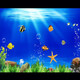 漾夢(mèng)江魚(yú)缸背景貼紙高清圖3D立體背景畫(huà)水族箱壁紙海底世界造景自粘畫(huà) 海洋小魚(yú)-1 40x0x30cm