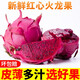 甜果源 紅心火龍果 廣西金都一號(hào)蜜寶新鮮水果果園現(xiàn)摘直采整箱包郵 凈重3斤【嘗鮮裝】 單果200-300g【小個(gè)頭大甜蜜】