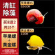 墨之瑤觀(guān)賞螺淡水蘋(píng)果螺魚(yú)缸除藻工具吃藻清缸清理小寵物黃金螺大號蝸牛 【共10個(gè)螺】蘋(píng)果螺＋黃金