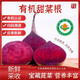 有機(jī)甜菜根4.5斤裝新鮮蔬菜現(xiàn)摘現(xiàn)發(fā)榨汁涼拌皆可有機(jī)認(rèn)證有機(jī)碼 有機(jī)甜菜根4.5斤