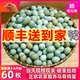 知楚綠殼山雞蛋90枚新鮮烏雞蛋60枚正宗農村散養柴雞蛋農家土雞蛋整箱 烏雞蛋丨60枚丨凈含量3.6斤起