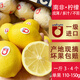 南非檸檬5斤進(jìn)口鑰匙鎖扣一級(jí)黃檸檬大果新鮮非美國(guó)新奇士智利 凈果5斤 17-25個(gè)