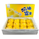 京鮮氣山東煙臺黃金奶油富士蘋(píng)果大果 冰糖心牛奶蘋(píng)果脆甜多汁整箱禮盒 精選果5斤【實(shí)惠無(wú)禮盒】