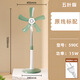 佳鵬電風(fēng)扇家用落地扇軟葉宿舍輕音大風(fēng)力臥室客廳無罩立式風(fēng)扇小型伸縮房間小風(fēng)扇 抹茶綠5葉