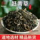 四川古藺趕黃草茶葉新貨野生可搭轉氨酶益i肝茶產(chǎn)地直銷(xiāo)九九和仁 500克