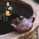溪茗軒魚(yú)化龍 宜興紫砂壺純手工紫砂茶具原礦老紫泥泡茶壺家用領(lǐng)導送禮魚(yú)化龍 410ml