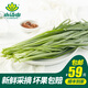 小湯山 韭菜 約250g 新鮮蔬菜基地種植當(dāng)天采摘