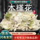 墨源木槿花中藥材新鮮木瑾花白木槿花白槿花大木槿花木謹花木槿花茶干 木槿花100克【新貨】