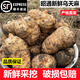 昭通天麻;ZHAOTONG RHIZOMA GASTRODIAE天麻 云南昭通新鮮天麻 小草壩深山老林烏天麻 滋補(bǔ)食材 非 黃金 中果（6-8個(gè)每斤） 1斤試吃