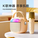海威特（HAVIT）無線藍(lán)牙音箱家庭ktv音響手機(jī)電視K歌迷你點(diǎn)歌機(jī)戶外大音量手提便攜式帶麥克風(fēng)話筒 P1流金白單麥