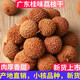 桂味荔枝干2024新貨廣東廣州特產(chǎn)無核小核肉厚荔枝干2024新貨 桂味5斤