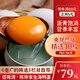 還珠灣《老廣的味道》還珠灣紅樹(shù)林陳偉家生海鴨蛋65-70g/枚 新鮮生鴨蛋 30枚/箱x1箱