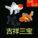 觀賞魚金魚鶴頂紅招財活體獅子頭好養(yǎng)鴻運當(dāng)頭冷水淡水魚苗小型 9-11cm鴻運+紅獅+黑龍各1條