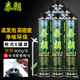 泰朗 發(fā)泡膠填縫劑密封防水隔音降噪發(fā)泡劑門窗外墻堵洞冬季專用泡沫 6瓶裝