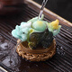 茶小邇變色茶寵時(shí)來(lái)運(yùn)轉(zhuǎn)貔貅茶臺(tái)茶桌擺件裝飾品茶從寵精品茶具擺設(shè)高檔 旋轉(zhuǎn)-噴水貔貅（變玉色）