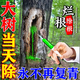 爛樹根劑大樹除樹一滴死一針倒強(qiáng)力除樹劑殺大樹爛根王專用藥正品 一瓶裝【強(qiáng)力滅樹】 100ml 1瓶