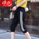 浪莎七分褲女棉運動休閑褲寬松女學生中褲夏季薄款顯瘦彈力韓版褲 黑色 XL 121-135斤