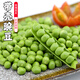 密水農(nóng)家新鮮帶殼豌豆 豌豆莢 蔬菜鮮摘發(fā)貨500g