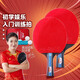 雙魚(yú)（DOUBLE FISH） 乒乓球拍初學(xué)者成品拍雙面反膠皮套裝快攻型學(xué)生業(yè)余訓練乒乓拍 豎拍 326A 雙直短柄