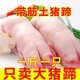 新鮮豬蹄冷凍豬腳豬前蹄豬爪子短豬蹄帶筋豬蹄燒烤家用豬手黑豬 5斤裝(切塊發(fā)貨) 2.5kg