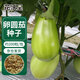 花沃里卵圓茄100粒/包蔬菜種子四季蔬菜種籽速成菜陽(yáng)臺盆栽庭院田間種