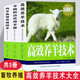 高效養(yǎng)羊系列 全3冊(cè)  肉羊高效養(yǎng)殖技術(shù) 山羊綿羊羔 羊病防治實(shí)用手冊(cè)等 新農(nóng)村畜牧養(yǎng)殖技術(shù)大全書(shū)籍