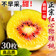 竹哈哈四川紅心獼猴桃正宗奇異果彌猴桃新鮮當(dāng)季水果大果整箱蒲江產(chǎn)地 中果20?！?0-90g】