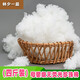 林夕一晨（linxiyichen）PP棉抱枕填充物棉花抱枕芯高彈蓬松玩偶靠墊珍珠棉手工填充棉絲棉 孕嬰無(wú)熒光珍珠棉4斤裝