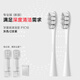 歐可林【成人全系列牙刷替換頭通用】電動(dòng)牙刷替換刷頭杜邦清潔護(hù)齦通用可選軟毛護(hù)齦清潔成人電動(dòng)牙刷頭 2支 -專業(yè)清潔型-灰色（P1C10）