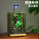 創(chuàng)意苔蘚微景觀流水生態(tài)瓶室內(nèi)桌面盆栽悶養(yǎng)易活懶人盆景養(yǎng)魚禮物 森林秘境（成品發(fā)貨）可養(yǎng)魚+燈