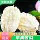昕風(fēng)尚新鮮蘋果苦瓜 臺(tái)灣引種蔬菜瓜現(xiàn)摘可生吃白玉苦瓜孕婦蔬菜 5斤