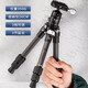 富圖寶（Fotopro）【小巧專(zhuān)業(yè)】P2MINI迷你碳纖維三腳架單反相機便攜桌面爬樓支架微距旅行拍攝口袋三角架直播手持 P-2MINI+P-2AMINI