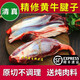 李師傅原切牛腱子肉新鮮不調(diào)理正宗散養(yǎng)黃牛肉另有腱子芯金錢腱清真 黃牛腱子5斤裝