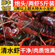 湖北潛江鮮活小龍蝦特大炮頭清水青蝦紅殼活蝦5斤裝【干凈免刷】 4567中蝦5斤（一斤大概18-20）