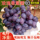 祁語現(xiàn)摘山東大澤山玫瑰香葡萄新鮮葡萄甜4斤當季孕婦水果順豐整箱 2斤精選裝