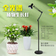 光聯(lián)天下全光譜植物生長燈綠植盆栽花卉補(bǔ)光燈魚缸爆藻射燈E27螺口落地?zé)?30W落地補(bǔ)光燈-全光譜4000K-48°