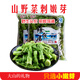 獨愛（DUAR）東北特產(chǎn) 山野菜 刺嫩芽野菜 刺老芽新鮮 刺龍芽 袋裝時令蔬菜 2袋子 4斤
