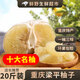 【現貨】重慶梁平麻柚子 平頂柚梁山蜂蜜柚特產(chǎn)新鮮水果白心柚子 【特大果】20斤(6-7個(gè)) 新鮮現摘-產(chǎn)地直發(fā)