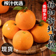庾豐正宗湖北秭歸橙子新鮮水果現(xiàn)摘 源頭直發(fā) 當(dāng)季夏橙 5斤大果(凈果4.5斤) 單果60mm+