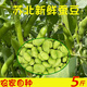 壹果萬麥蠶豆新鮮江蘇蘇北農(nóng)家自種帶殼嫩蠶豆米現(xiàn)貨綠胡豆青豆莢 5斤