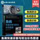 現貨 魚(yú)病快速診斷與防治彩色圖譜袁圣趙哲化學(xué)工業(yè)出版社魚(yú)病治療快速診斷與防治技術(shù)水產(chǎn)養殖技術(shù)養魚(yú)教程養殖從入門(mén)到精通書(shū)籍 新版 魚(yú)病快速診斷與防治彩色圖譜袁圣趙哲化學(xué)工業(yè)出版社魚(yú)病治療快速診斷與防治技